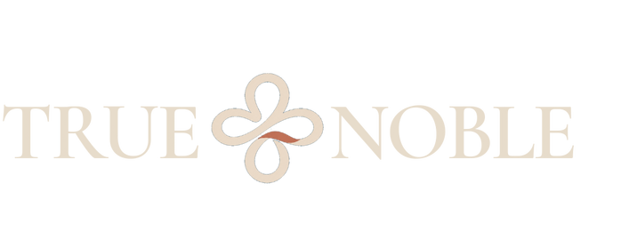 T+N Logo T+N Logo
